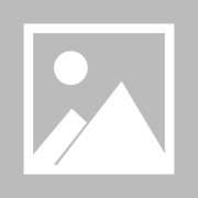 米乐官方网站- 多特蒙德新援首秀破门，客场力克沃尔夫斯堡  